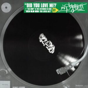Screenshot 2024-10-29 at 14-17-05 DJ Sotofett - Did You Love Me (WANIA) – Rubadub