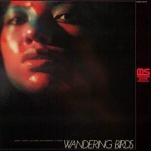 Screenshot 2024-11-08 at 12-29-30 Jiro Inagaki & Soul Media Wandering Birds – Light in the Attic