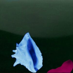 Screenshot 2024-11-13 at 14-11-10 New Order - Touched By The Hand Of God (12 Single) Warner Music Canada