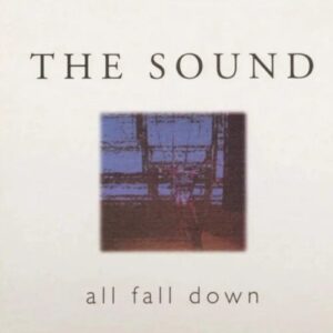 Screenshot 2024-11-21 at 13-35-01 Sound - All Falls Down (Blue) – Le Noise