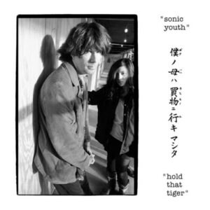 Screenshot 2024-11-26 at 15-02-44 Sonic Youth - Hold That Tiger 2xLP (Clear Vinyl) - Superior Viaduct
