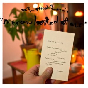 Screenshot 2024-11-28 at 11-59-30 A Crow Looked At Me by Mount Eerie (LP) – P.W. Elverum & Sun
