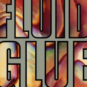 Screenshot 2024-11-29 at 12-50-03 The Fluid - Glue (2024 Remaster) - Sub Pop Official Store – Sub Pop Mega Mart