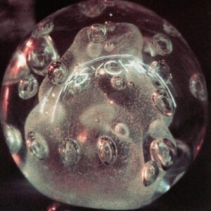 Screenshot 2025-01-27 at 14-57-50 Darkside - Psychic (2LP) – Le Noise