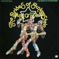 Screenshot 2025-02-17 at 10-28-19 The Brides Of Dr Funkenstein - Funk Or Walk - Official Website of George Clinton Parliament Funkadelic