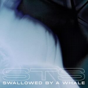 Screenshot 2025-02-26 at 10-52-09 STS - Swallowed By A Whale (Texture Records)