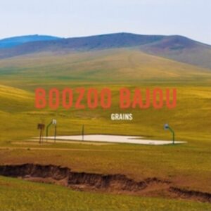 Screenshot 2025-02-26 at 12-40-15 BAJOU BOOZOO Grains (15th Anniversary) 2LP Closeup