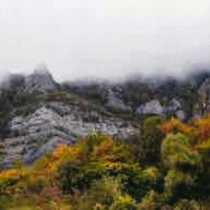 Screenshot 2025-03-24 at 13-28-09 Delsin Records NWAQ - Above EP - Last Age