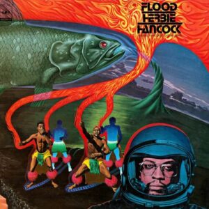 Screenshot 2025-04-28 at 14-25-01 Herbie Hancock - Flood (Vinyl LP)