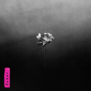 Screenshot 2025-05-29 at 18-48-59 Little Simz - Lotus (Pink) – Le Noise