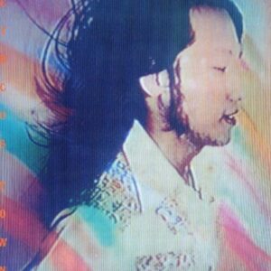 Screenshot 2025-06-12 at 18-29-27 Tatsuro Yamashita Circus Town – Light in the Attic