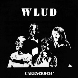 Screenshot 2025-06-23 at 15-47-36 Wlud – Carrycroch' (LP) – Soundohm
