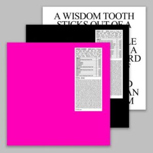 Screenshot 2025-07-08 at 15-14-53 Amnesia Scanner and Freeka Tet - Hoax STROBE.RIP Rough Trade - (3LP - Black) Rough Trade