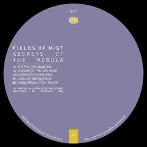 Screenshot 2025-07-21 at 12-23-15 Fields of Mist - Fields Of Mist - Secrets Of The Nebula (Ilian Tape)