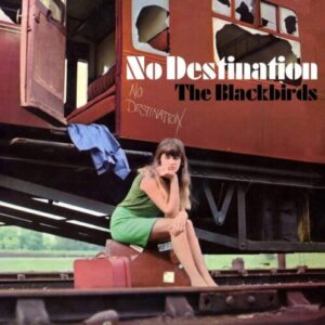 Screenshot 2025-07-31 at 14-09-11 The Blackbirds - No Destination on CD Vinyl LP Rough Trade - (Black LP CD) Rough Trade