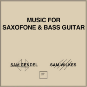 Screenshot_2020-04-16-Sam-Gendel-Sam-Wilkes-Music-for-Saxofone-amp-Bass-Guitar-LP-e1587065265772-1.png