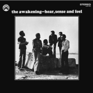Screenshot_2020-08-15-The-Awakening-Hear-Sense-and-Feel-LP-e1597544905459-1.png
