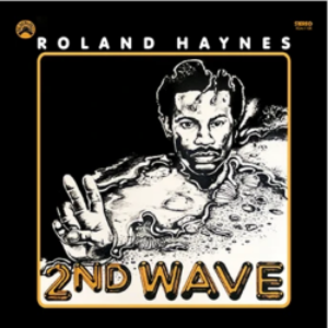 Screenshot_2020-10-14-Roland-Haynes-Second-Wave-LP-e1602727221537-1.png