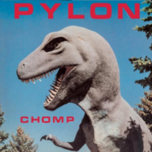 Screenshot_2020-11-05-Pylon-Chomp-LP-New-West-Stranded-Records-e1604618341121-1.png
