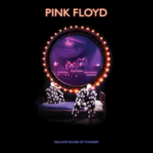 Screenshot_2020-11-22-Pink-Floyd-Delicate-Sound-Of-Thunder-180g-3LP-e1606100605364-1.png