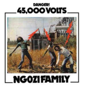 Screenshot_2021-02-10-Ngozi-Family-45000-Volts-LP-Now-Again-Stranded-Records-e1612982197987-1.png