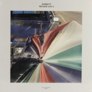 Screenshot_2021-03-18-Private-Life-II-–-Vinyl-LP-e1616105860174-1.png