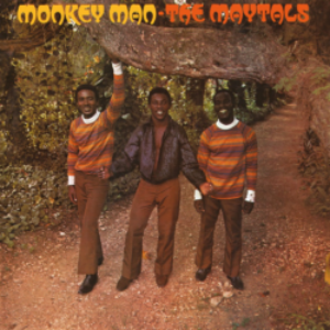 Screenshot_2021-05-11-THE-MAYTALS-–-MONKEY-MAN-Music-On-Vinyl-e1620767039103-1.png