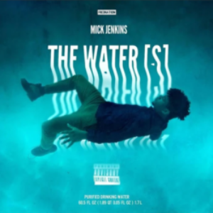 Screenshot_2021-05-16-Mick-Jenkins-The-Waters-2xLP-Underwater-Color-Vinyl-e1621179788352-1.png