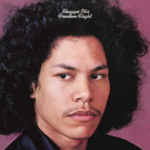 Screenshot_2022-07-08-Shuggie-Otis-Freedom-Flight-Purple-Vinyl-LP-e1657305629988-1.png
