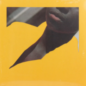 Screenshot_2022-07-15-Sen-Am-2022-Edition-–-Vinyl-LP-e1657910635378-1.png