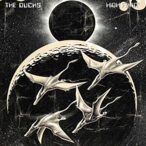 The_Ducks_High_Flyin_Packshot_Mid_Res__25098_750x-2.jpg