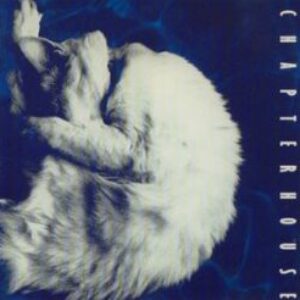 Whirlpoolchapterhouse-e1584995241220-1.jpg