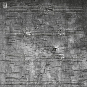 a0276056962_10