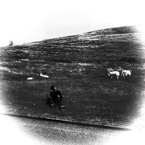 a0373749739_10