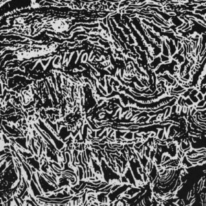 a1682329467_10
