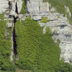 a2225624457_10-e1617212228586.jpg