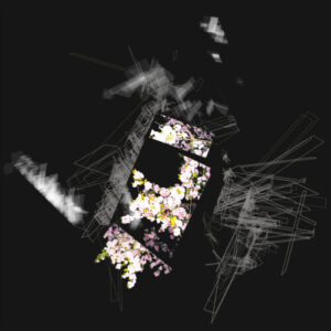 a3293734598_10