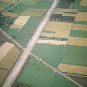 a3346002469_10