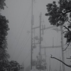 a4267336275_10-e1616638886505-1.jpg
