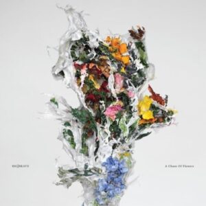 big_brave_a_chaos_of_flowers