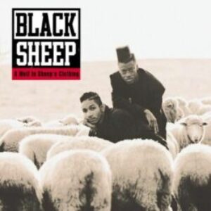 blacksheep-500x500-1-e1626889098385-1.jpg