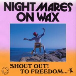 cover-Nightmares-on-Wax-Shout-Out-To-Freedom.-e1635177148749-1.jpg