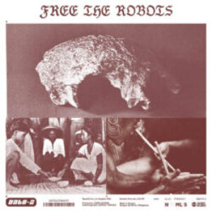 freetherobots