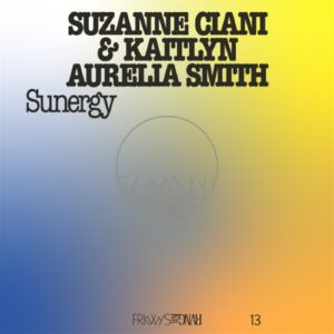 frkwys1-13-frkwys-vol-13-sunergy-expanded-blue-vinyl-2.jpg