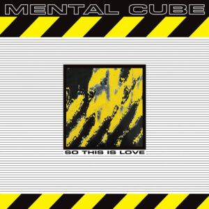mental-cube-so-this-is-love-2.jpg