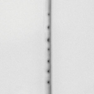 nkd10_cover