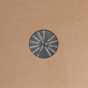 phylyps-flat-e1681857755502-1.jpg