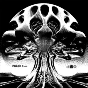 pulse5